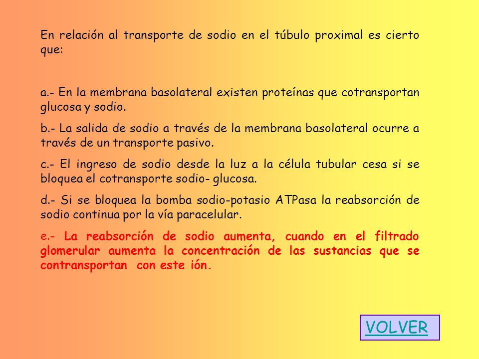 superficie basolateral de la diabetes del túbulo proximal superficie basolateral de la diabetes del túbulo proximal